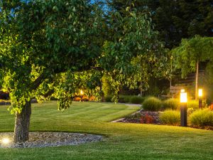 Dedicated Service Team for Every Lighting Project